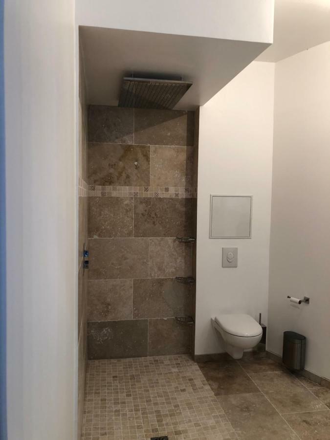 Loft Spa Reims-fr 200m2 privatifs, piscine intérieure chauffée, spa et parking Extérieur photo